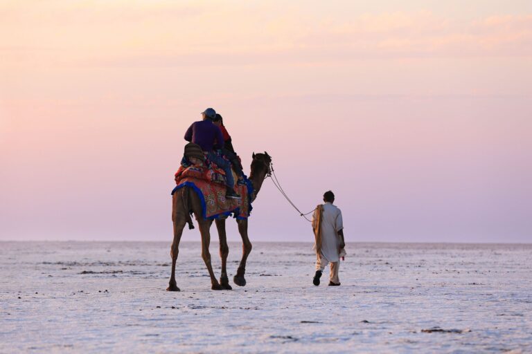 847b531fb09583adad57678b91ec1086